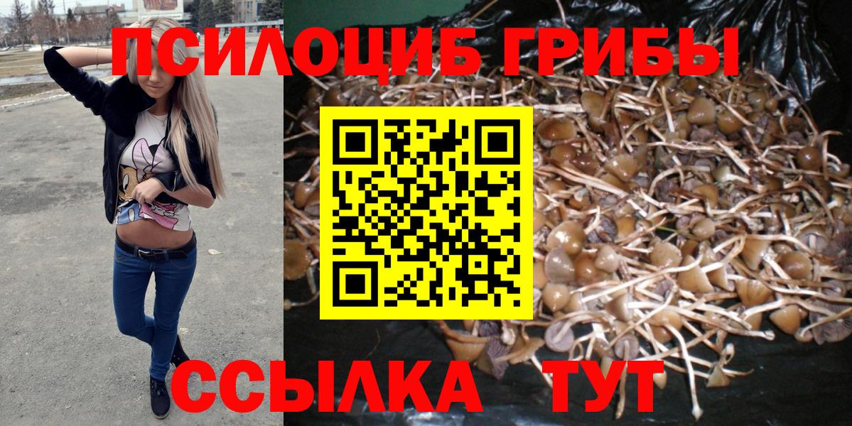 Псилоцибиновые грибы GOLDEN TEACHER Кувандык